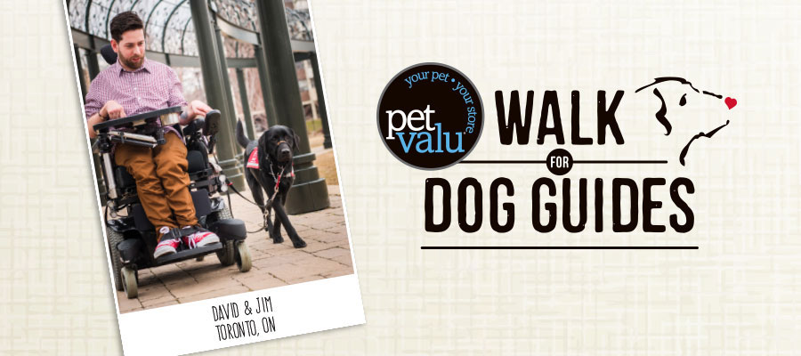 Pet Valu Walk for Dog Guides
