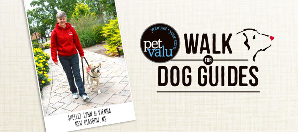 Pet Valu Walk for Dog Guides