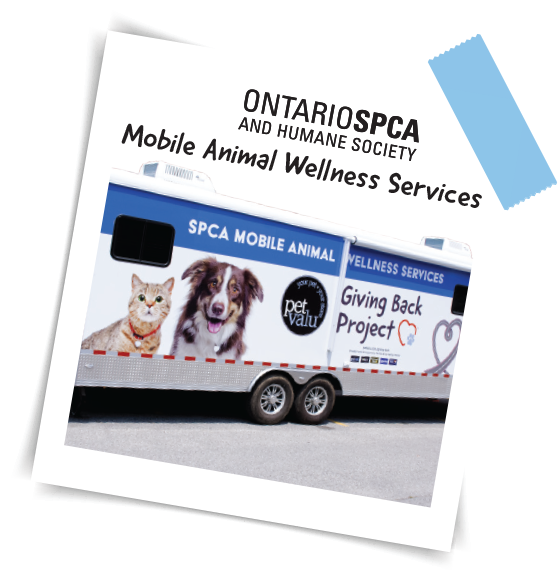 Ontario SPCA and Humane Society Mobile Animal Wellness Services